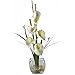 Nearly Natural 1118-CR Calla Lilly Liquid Illusion Silk Flower Arrangement, Cream