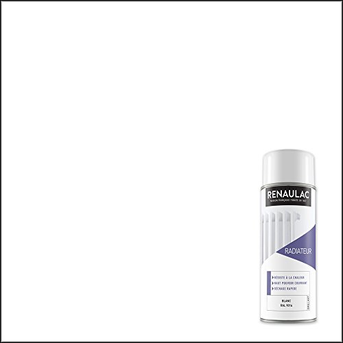 Renaulac Peinture Aérosol Déco spéciale électroménager - Blanc (Blanc Brillant) - 400 ml (Ref: C-REAERRAD-0000-0L4) Cover
