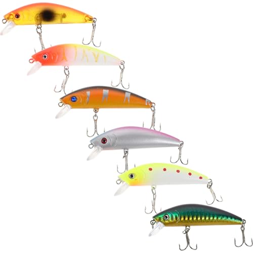 ERINGOGO 6 A[gނ oCIjbNtBbVOA[ ނãA[ lH̃Gr A