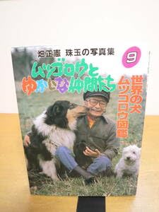 Amazon.co.jp: 畑正憲 珠玉の写真集 ムツゴロウとゆかいな仲間たち 9