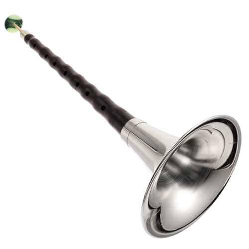 VICASKY Beginner Rosewood Chinese Wind Instrument Music Instrument for Adults Random Color