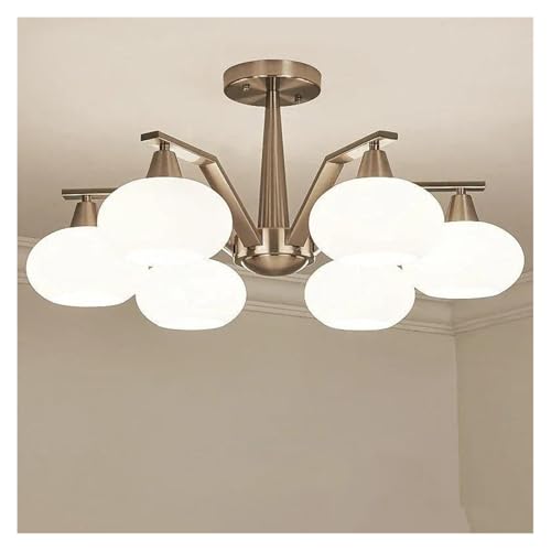 VfACgA_Ȍ̍T߂ȓV䃉vAArOA_CjOe[uAƒpdiALEDCgAQALb`A݂艺VfA