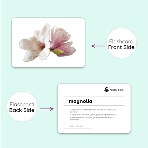 Image of Hungry Brain Flowers Flash Cards for Toddlers & Kids | Montessori Early Learning Cards for Babies | Educational Toy for Ages 3 Months to 6 Years | Fun Preschool Activity & Gift
