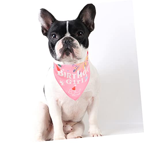 Écharpe d'anniversaire ajustable en polyester rose et chapeau chiot