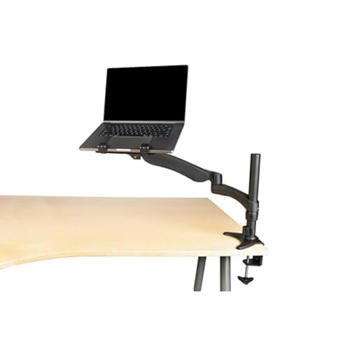 Gator Cases�}�E���g�\�ȃA�[�� �m�[�g�p�\�R���A�^�u���b�g�A���j�^�[�p 360�x��] (G-ARM-360-DESKMT)