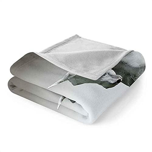 Couverture flanelle cheval blanc plaid microfibre douce canapé lit - 7