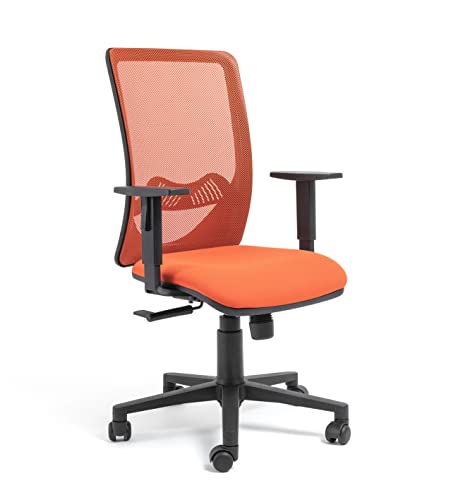 D-Segno Silla ergonómica Cody, Silla de Oficina ergonómica para Escritorio o PC, 100% Fabricada en Italia (Naranja) Cover