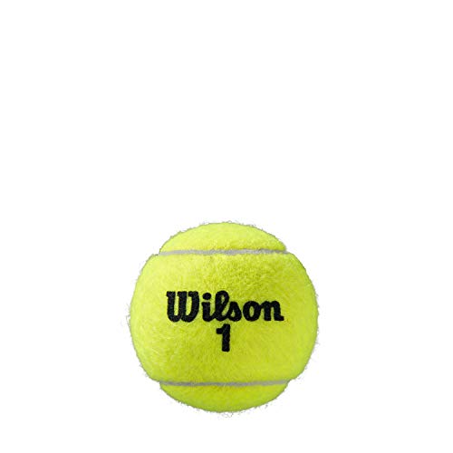 Wilson Bola de tênis unissex adulto Roland Garros All Court, amarela, 60 × 7 cm