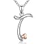 T-Initial