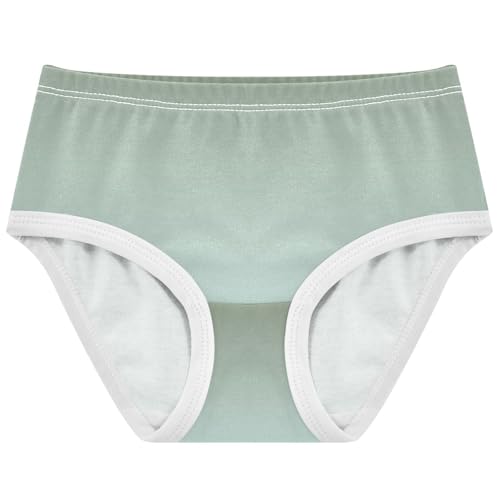 Joisal Toddler Girls Underwear 2t Cotton Girl Panties Cute Pattern Briefs Kids Undies Camouflage Green Light Cyan Gradient