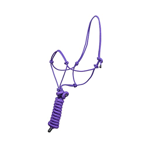 SIE - Cavezza in corda per cavalli, 2,4 m, lunghezza 4 nodi (viola)