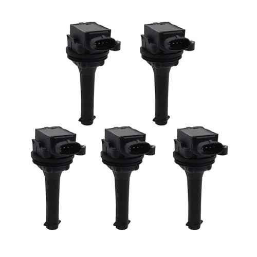Bobines d'allumage 0221604008 compatibles avec moteur Volvo XC90 XC70 S80 T6