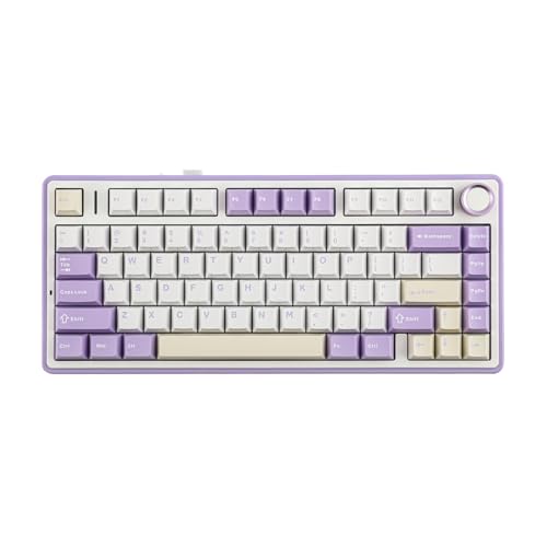 EPOMAKER x AULA F75 (カスタム品) 203A5845.jpg?v=1742290984