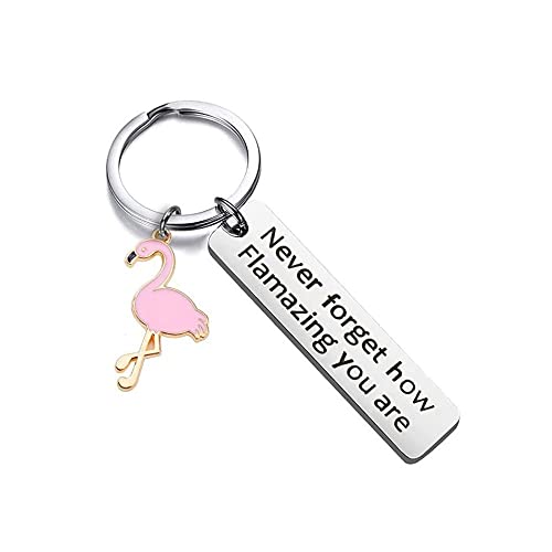 tenghong2021 Motivational Flamingo Keychain Never Forget How Flamazing You are Keychain Gift for Women Girls