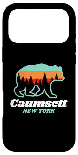 R[ZbgB j[[N t@~[ nCLO T}[xA X}zP[X iPhone 17 Pro Max p