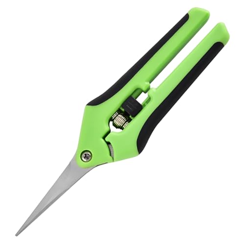 yipfen 1 pcs forbici da giardino con lame curve rivestite in titanio, forbici da potatura, forbici per rose, bonsai, piante, piccole forbici per fiori, rami, fiori, frutta