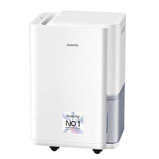 Déshumidificateur AEOCKY 20L/d, applicable à 160 m³ (40 m²), déshumidificateur à compresseur intelligent avec tuyau de vidange, pour sécher les vêtements, chambre, salle de bain, sous-sol
