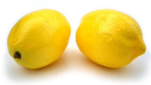 Artificial Lemon, Box of 12