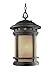 Designers Fountain ES2394-AM-ORB Sedona 11 Inch Hanging Lantern