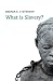 What is Slavery? (What is History?)