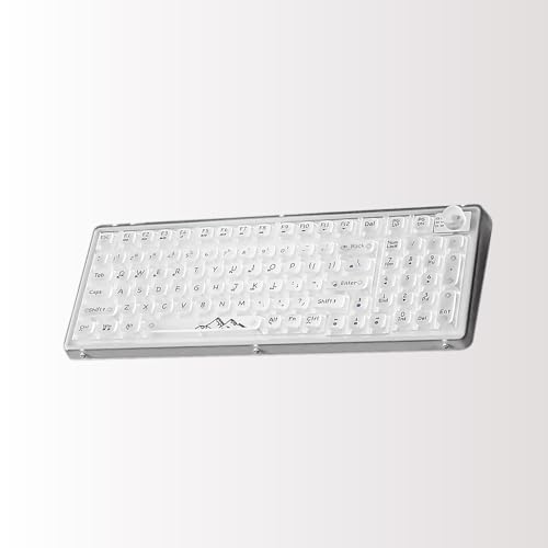 OUSEITECH X EWEADN V99 ゲーミングキーボード メカニカル 透明キーボード 透明キーキャップ 99キー ワイヤレス ホットスワップ対応 RGBバックライト BT5.0/2.4G/USB-C ガスケット搭載 Android/OS/Mac/