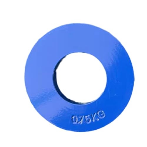 Folpus Disco Fraccional para Levantamiento con Pesas, Azul 750g