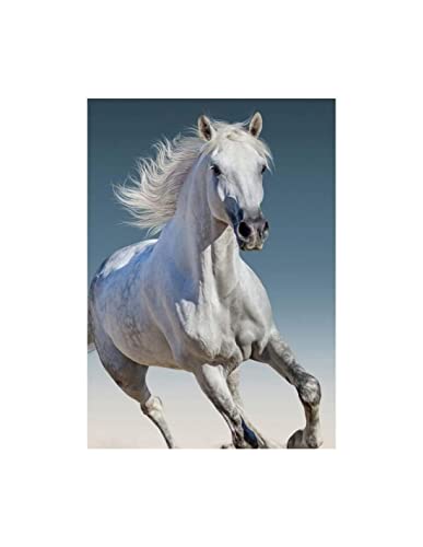 Aptex Couverture pour enfant 100 x 140 cm Motif cheval