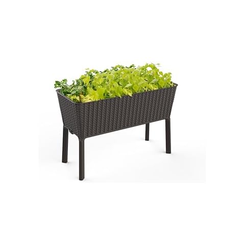 Keter Splendor Raised Garden Bed Cover