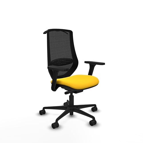 Piqueras y Crespo Silla de Escritorio de Ruedas Mardos para 24 Horas de Uso, con Respaldo Fijo, Brazos 3D, Apoyo Lumbar 1D y Mecanismo Sincro/Traslack, Ideal para Mujer