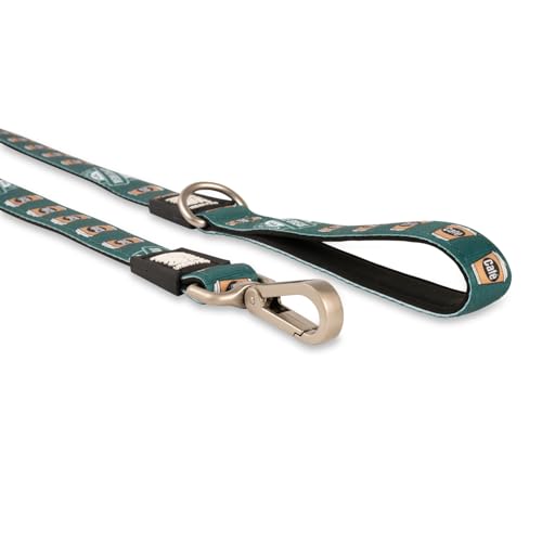 Laisse Max & Molly Café en taille M pour chien actif