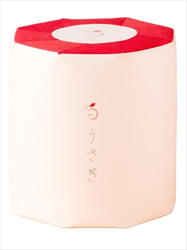 P[ L|\lɐ^ĒgCbgy[p[ 3d(gv)yĂȂMtg ܁IzA v`Mtg