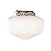 Bala Schoolhouse Globe Ceiling Fan Light Kit, One 60 Watt Incandescent Candelabra Base Bulb, 8-1/2", Brushed