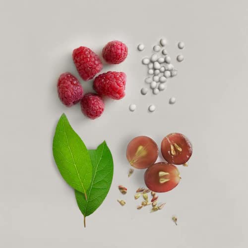 Seed Phytonutrients - Natural Purifying Facial Cleansing Powder | Sustainable, Vegan Clean Beauty (2 Oz | 60 G) #TOP1