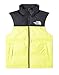 Produktbild THE NORTH FACE Herren M 1996 RTRO NPSE Vest NF0A3JQQJE31, Sulphur Spring Green, S
