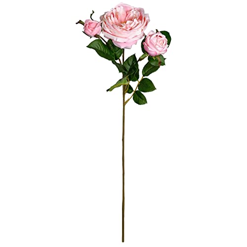 Ashland Michaels Light Pink English Rose Stem #TOP7