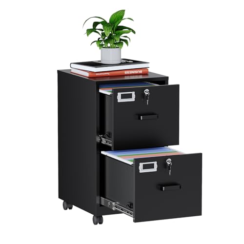 Image of MIIIKO 2 Drawer File Cabinet with Lock, Vertical Metal Filing Cabinets for Home Office, Lockable Storage File Cabinets Under Desk, A4 /Letter File Folders(Black)-Assembly Required