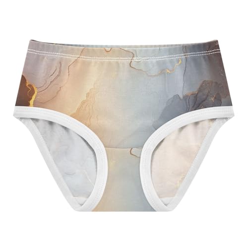 Triangle Panties All Seasons Panties Briefs Underwear for Young Girls in Sizes 2T,3T, 4T, 5T, 6Y and 8Y