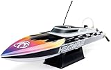 RC Toys Pleyer