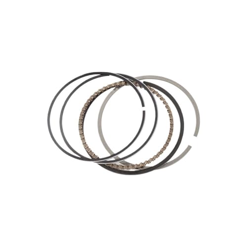 I[goCiTCY49mm 49.25mm .50mmsXgOGSX250 GSXR 250 GSX250R GJ72A GJ73A GJ74A GSF250 250jo[Tƌ݊(1 Set 49.50mm)