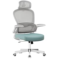 Blisswood Ergonomic Mesh Chair with Adjustable Headrest - Tilt Function - 90° Flip-Up Armrest & Lumbar Support - 130° Recliner Computer Task Office Chair for Gaming & Home Office (Blue & Grey)