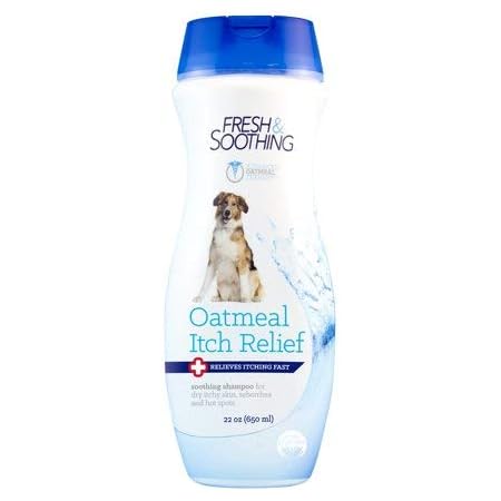 earthbound dog shampoo
