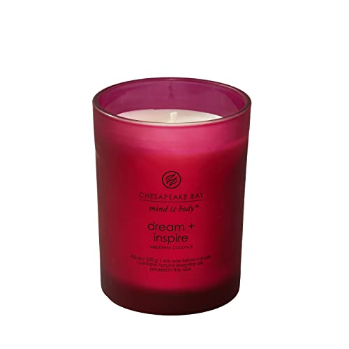 Chesapeake Bay Candle PT41689 Candle Medium Jar Dream & Inspire Home Décor