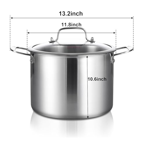 DELARLO Tri-ply Stainless Steel 20QT Stock Pot, Compatible with All Stoves Up to 600℉, 18/10 Induction Big Cooking Pot with Lid, Fast & Even Heating, Durable Large Soup Pot