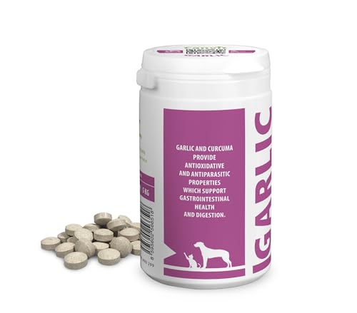 Canvit Knoblauchtabletten für Hunde & Katzen | Nahrungsergänzungsmittel Hunde mit Curcuma Unterstützung | Immununterstützung für Hund | Vitiman B12 Magen-Darm-Gesundheit und Verdauungsunterstützung |