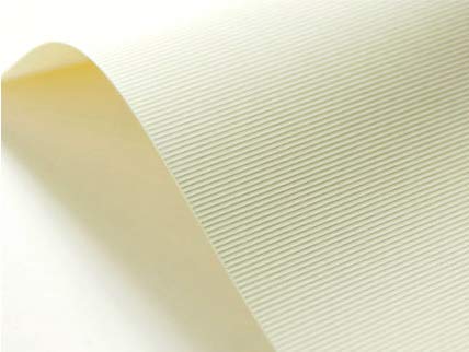 Netuno 400x Cream Ribbed Embossed cardstock A4 210x297mm 8.3x11.7in 246gsm Elfenbein Textured Paper Decorative cardstock for Invitations menus Photo Albums Table Cards Covers Business Cards Flyers