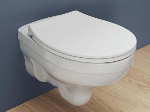 Aqua Bagno Inodoro Colgante sin Bordes