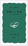 知識人と政治 ドイツ・1914~1933 (岩波新書)