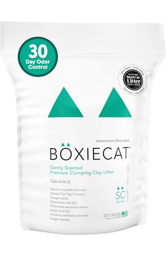 Boxiecat Gently Scented Premium Clumping Clay Cat Litter-16-Pounds