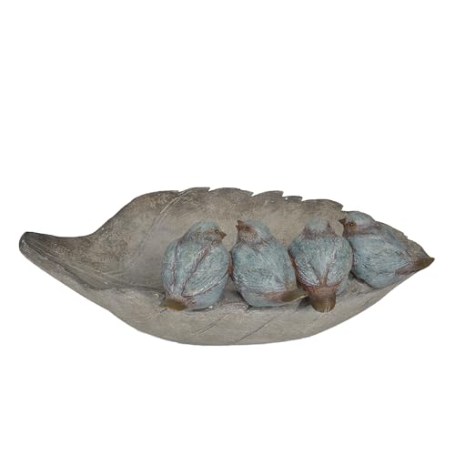 Newman House Studio Bird-Feeder Wild Bird-Bath Bowl Outdoors thumb #1