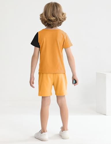 Image of mksodopy Toddler Boy Clothes Color Block Patchwork Short-Sleeved T-Shirt Color Block Shorts Boys Summer Outifts